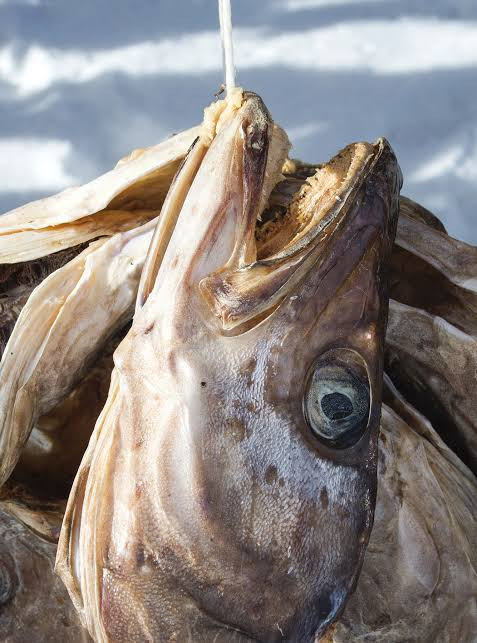 1 medium size of cord stock fish head 70g