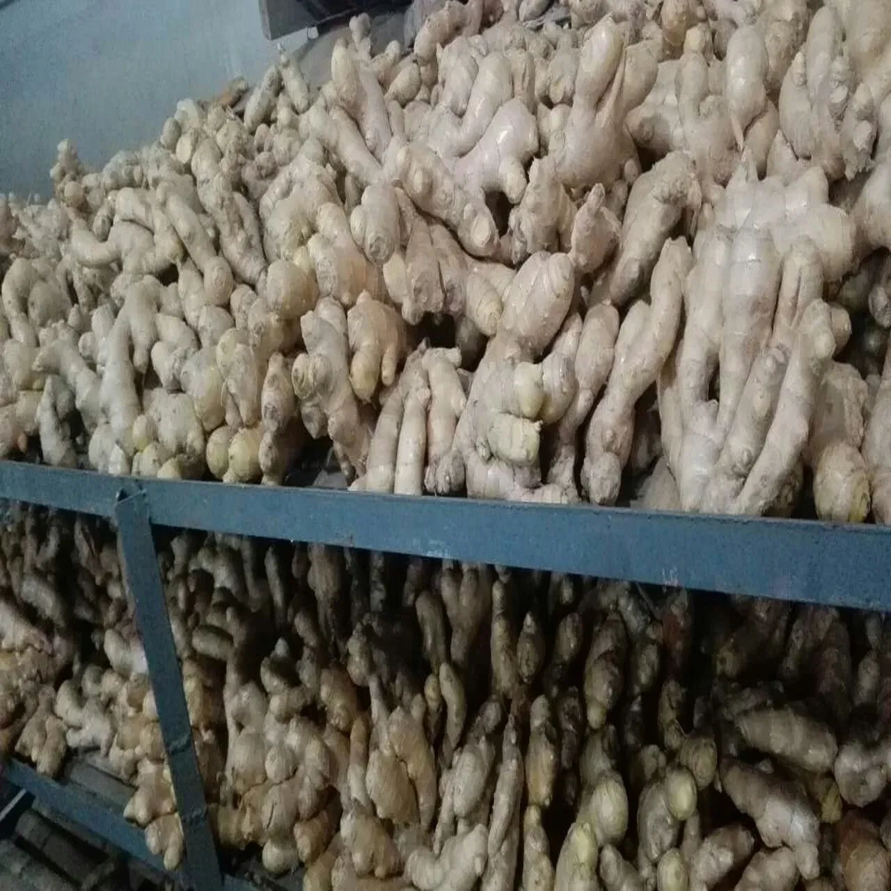 1kg of fresh ginger
