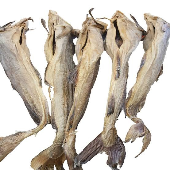 1 full size stock fish