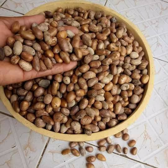 1kg of unpeeled ehuru seeds