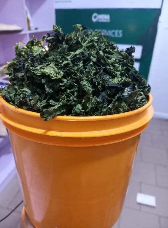 300g dried Ugu leaf