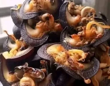 50pcs of large sized of dried snail  350g