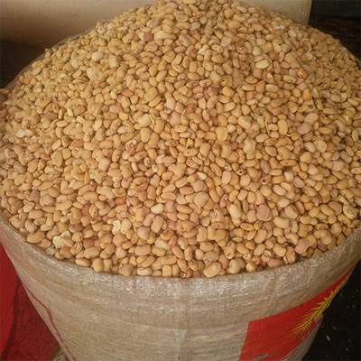 1 bucket of honey beans 3kg