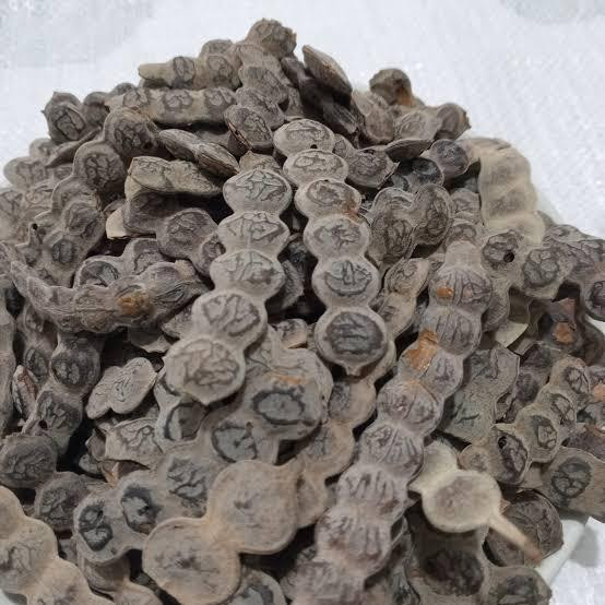 1kg of acasia seeds. Mini: 100kgs or as from 50 kgs