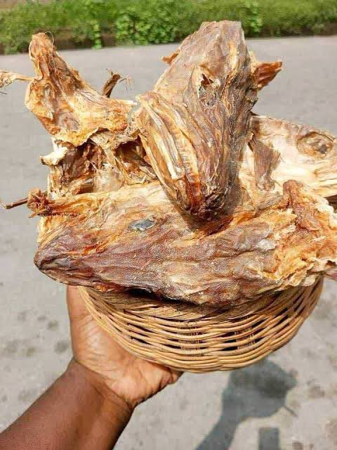 1 medium size of apama stock fish head 70gg