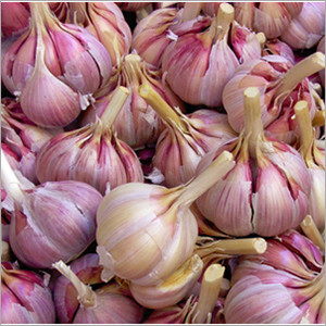 1kg of garlic