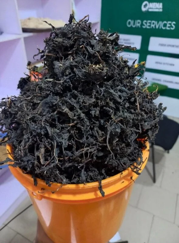 300g of dried bitterleaf