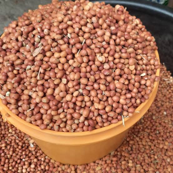 1 Bucket Of Fio Fio 3kg