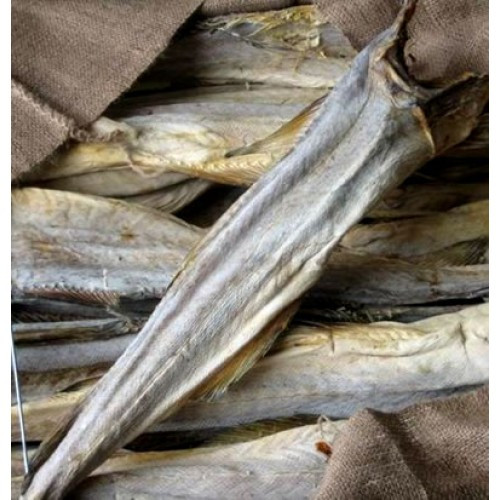 1kg of full big body of cord stock fish