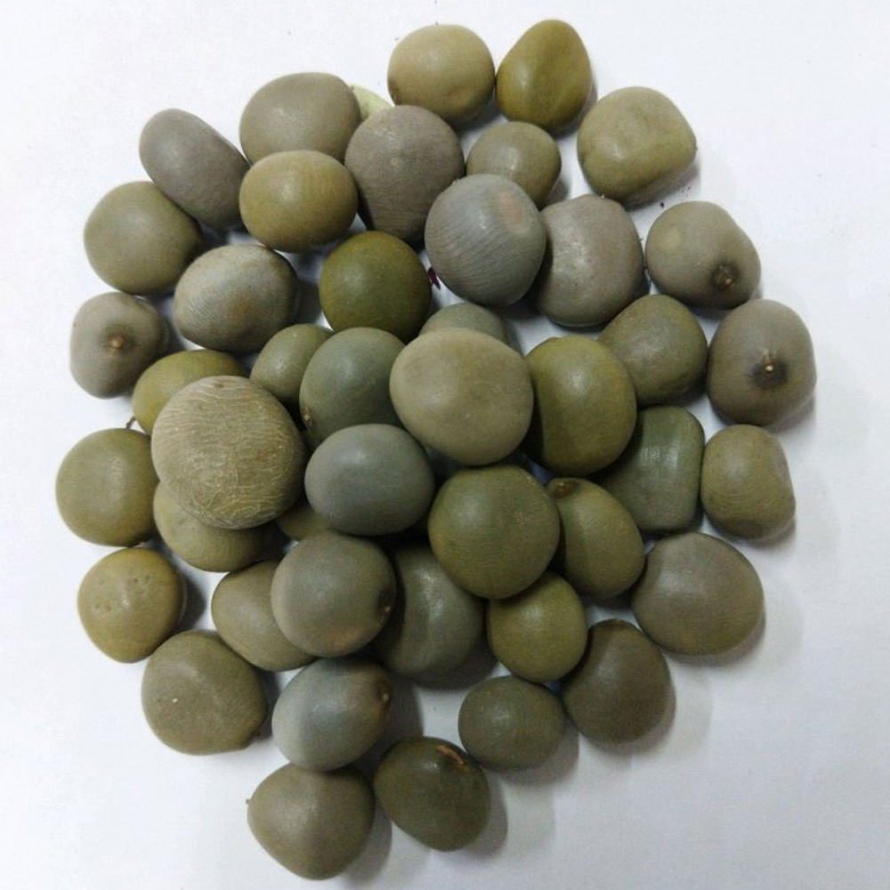 1kg of Nigerian karanjwa seeds