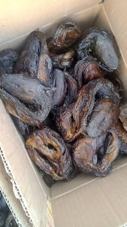 1carton of small Pcs of 70pcs of small sizes of dried catfish