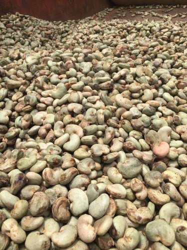 1kg of shelled cashew nuts