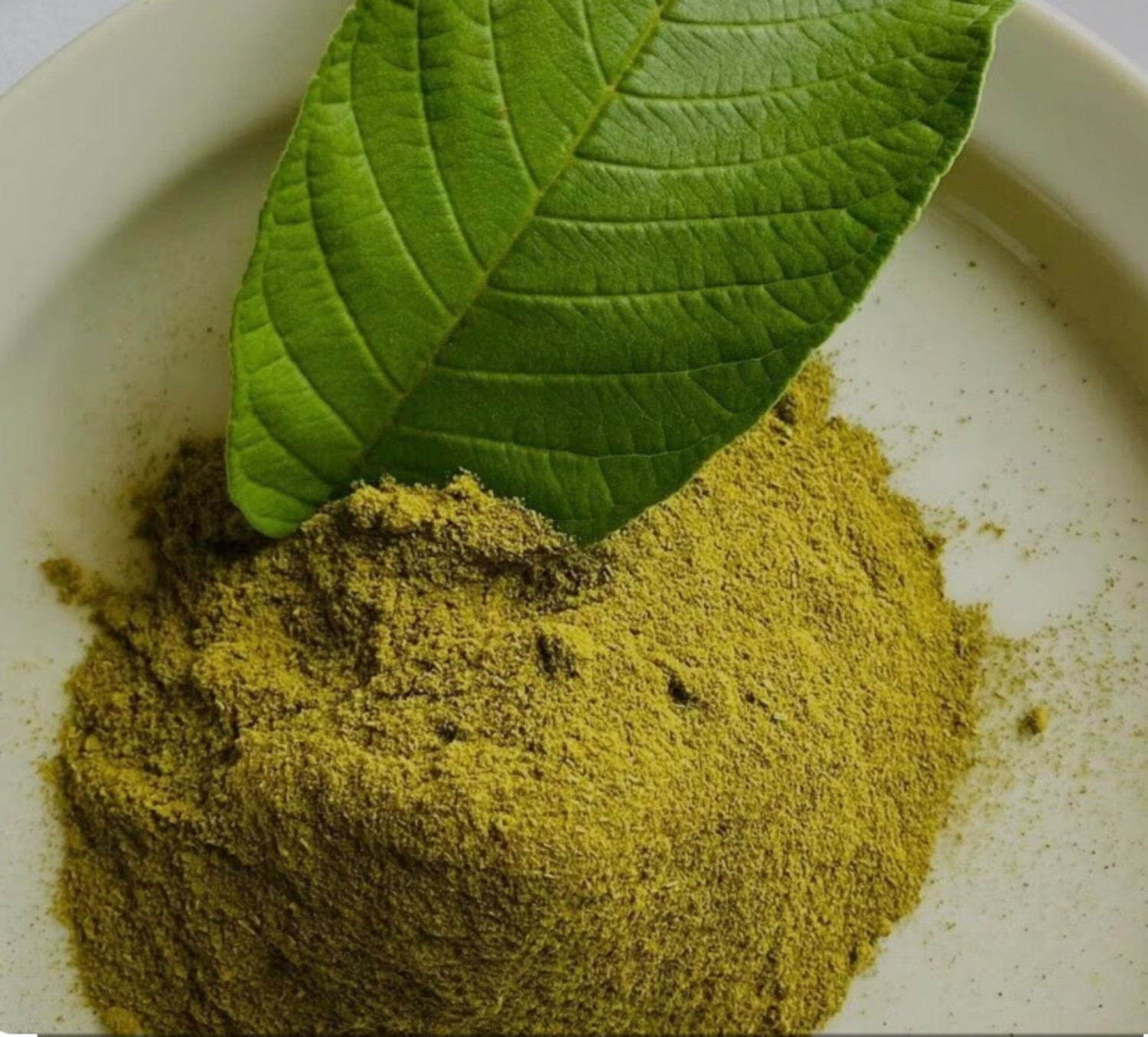 1kg of whole guava leaves powder