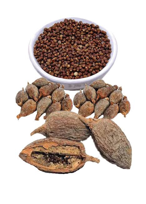 15 bunches of alligator pepper 100g