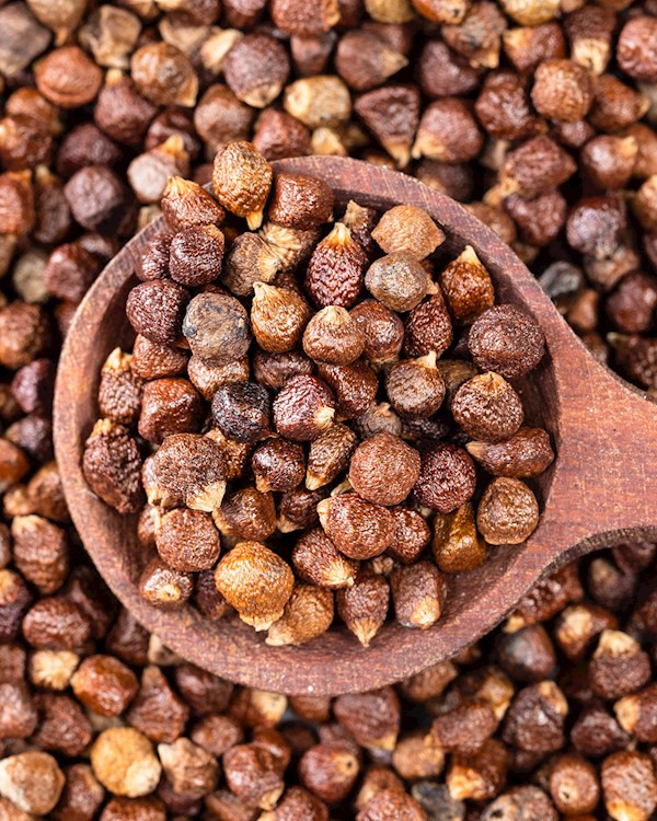 1kg of alligator pepper seeds