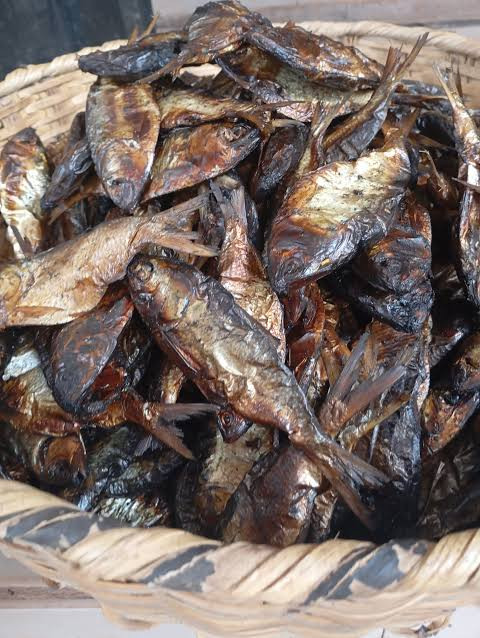 1carton big sizes of bonga fish 200psc