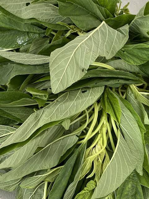 300g dried green vegetable