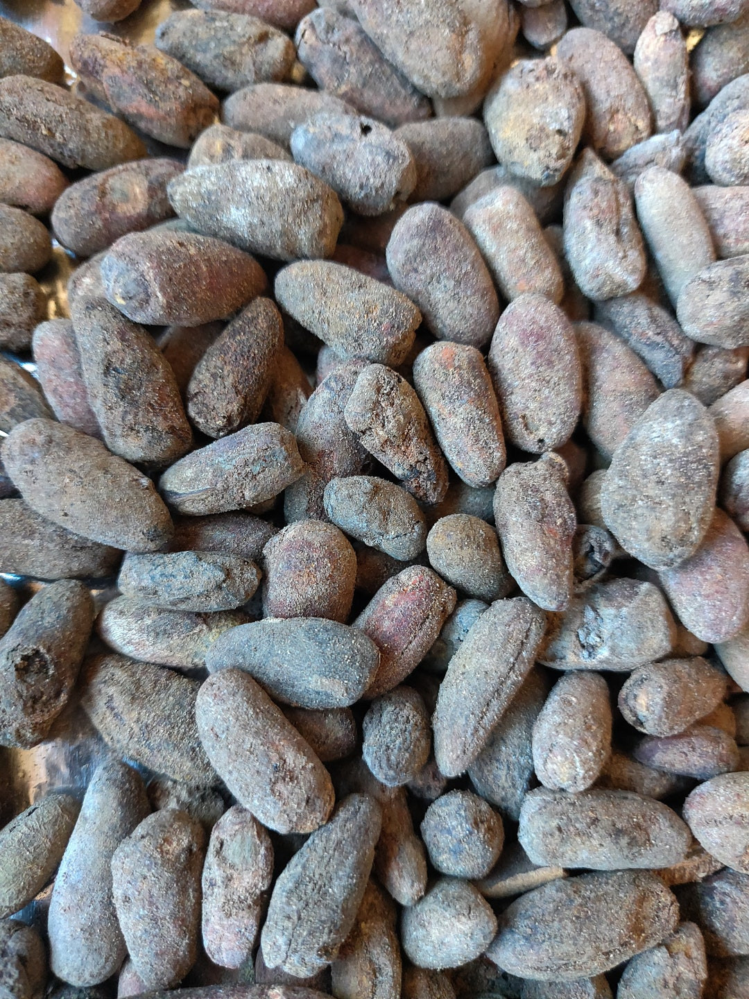 1kg of Efu seeds