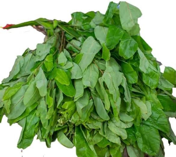 300g dried oha leaf