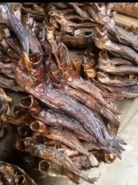 Dried croaker fish 50pcs medium sizes 5kg